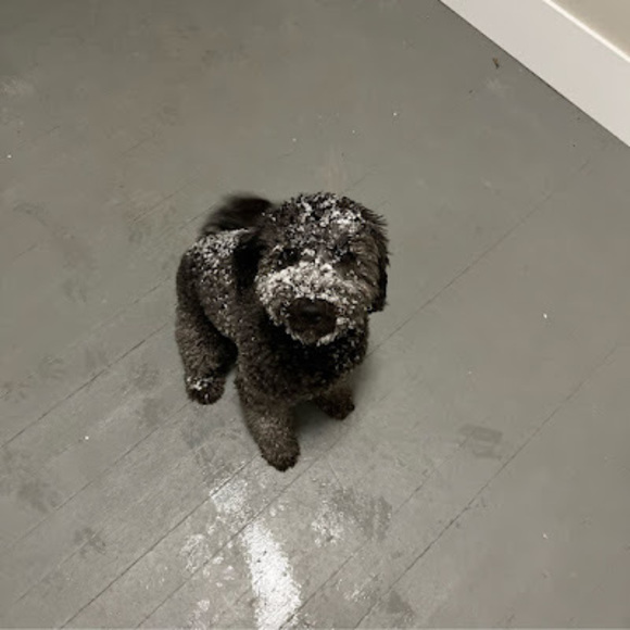 Meet your Posher, Christian - Picture 1 of 1